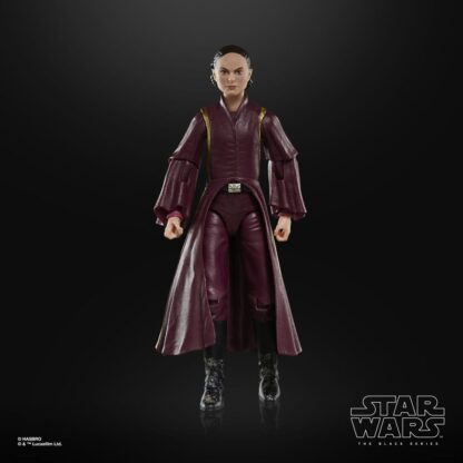 Star Wars Episode I Black Series Actionfigur Padmé Amidala 15 cm - Beschädigte Verpackung – Bild 5