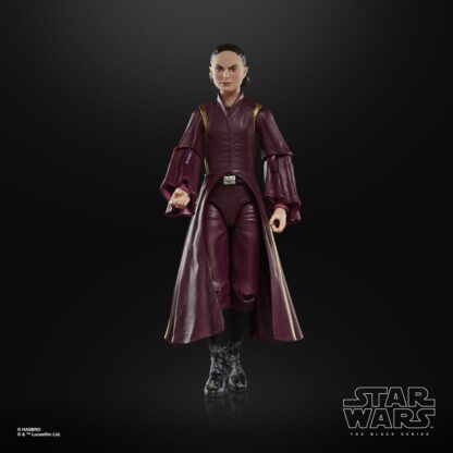 Star Wars Episode I Black Series Actionfigur Padmé Amidala 15 cm - Beschädigte Verpackung – Bild 6