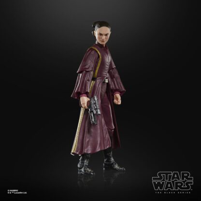 Star Wars Episode I Black Series Actionfigur Padmé Amidala 15 cm - Beschädigte Verpackung – Bild 7