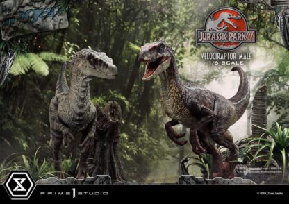 Jurassic Park III Legacy Museum Collection Statue 1/6 Velociraptor Male Bonus Version 40 cm – Bild 16