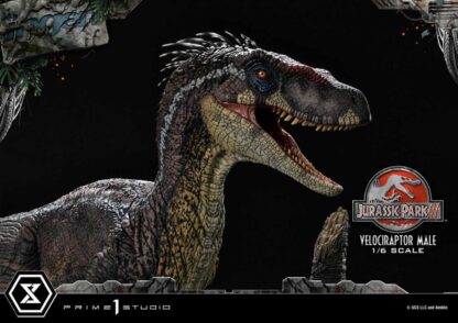 Jurassic Park III Legacy Museum Collection Statue 1/6 Velociraptor Male Bonus Version 40 cm – Bild 24