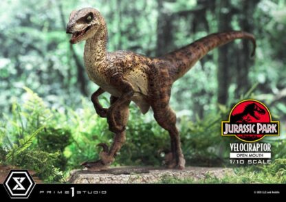 Jurassic Park Prime Collectibles Statue 1/10 Velociraptor Open Mouth 19 cm – Bild 2