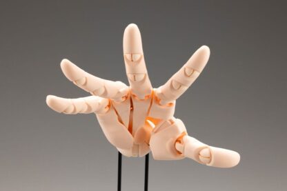 Takahiro Kagami PVC Artist Support Item Hand 1/1 Model/R Pale Orange 21 cm – Bild 3