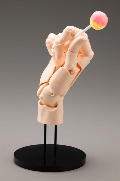 Takahiro Kagami PVC Artist Support Item Hand 1/1 Model/L Pale Orange 21 cm – Bild 6