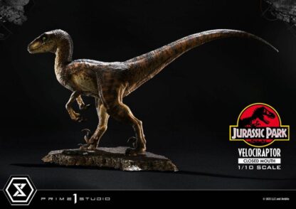 Jurassic Park Prime Collectibles Statue 1/10 Velociraptor Closed Mouth 19 cm – Bild 4