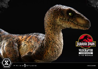 Jurassic Park Prime Collectibles Statue 1/10 Velociraptor Closed Mouth 19 cm – Bild 7