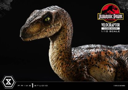 Jurassic Park Prime Collectibles Statue 1/10 Velociraptor Closed Mouth 19 cm – Bild 8