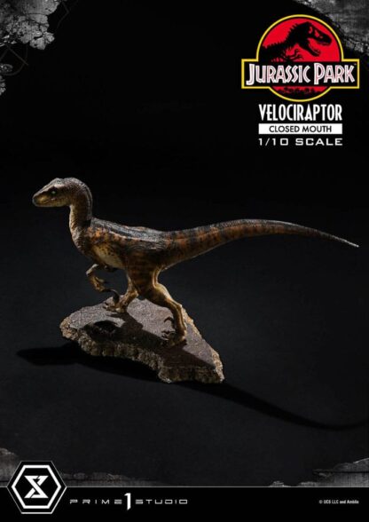 Jurassic Park Prime Collectibles Statue 1/10 Velociraptor Closed Mouth 19 cm – Bild 13