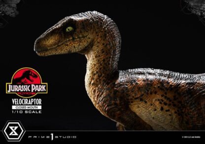 Jurassic Park Prime Collectibles Statue 1/10 Velociraptor Closed Mouth 19 cm – Bild 17