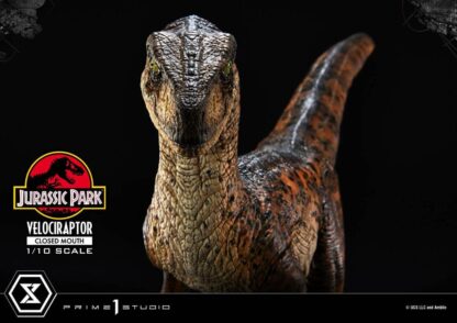 Jurassic Park Prime Collectibles Statue 1/10 Velociraptor Closed Mouth 19 cm – Bild 18