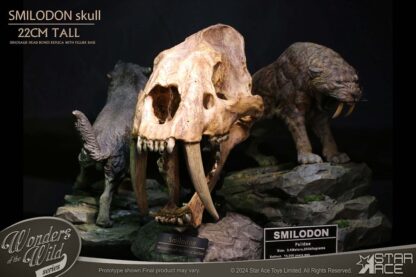 Wonders of the Wild Series Statue Smilodon Skull Fossil 22 cm – Bild 2