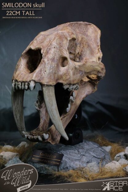 Wonders of the Wild Series Statue Smilodon Skull Fossil 22 cm – Bild 4