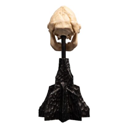 Herr der Ringe Mini Statue Skull of Lurtz 14 cm – Bild 8