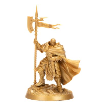 Warhammer Age of Sigmar Miniaturen Warhammer Heroes: Stormcast Eternals Display (8) – Bild 3