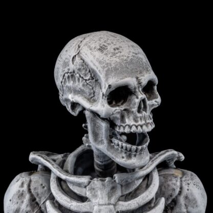 Graveyard Skeletons Actionfiguren 4er-Pack – Bild 9