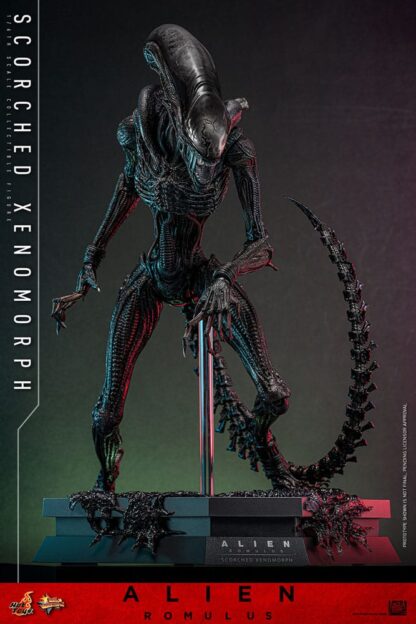 Alien: Romulus Movie Masterpiece Actionfigur 1/6 Scorched Xenomorph 44 cm – Bild 8