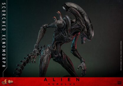 Alien: Romulus Movie Masterpiece Actionfigur 1/6 Scorched Xenomorph 44 cm – Bild 15