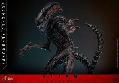 Alien: Romulus Movie Masterpiece Actionfigur 1/6 Scorched Xenomorph 44 cm – Bild 17