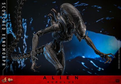 Alien: Romulus Movie Masterpiece Actionfigur 1/6 Scorched Xenomorph 44 cm – Bild 18