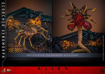 Alien: Romulus Movie Masterpiece Actionfigur 1/6 Scorched Xenomorph 44 cm – Bild 20