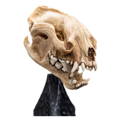 Herr der Ringe Mini Statue Skull of a Warg 20 cm – Bild 3