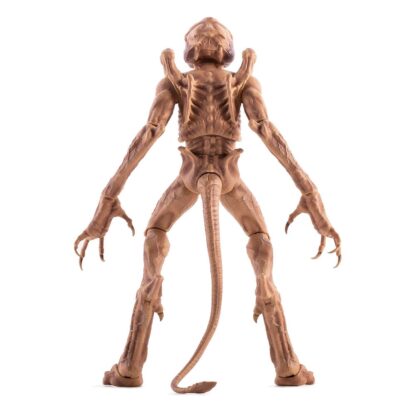 Das Halloween Monster Actionfigur Pumpkinhead 23 cm - Beschädigte Verpackung – Bild 6