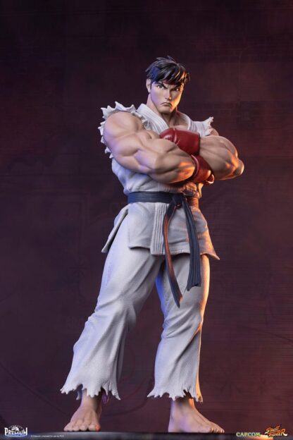 Street Fighter PVC Statuen 1/10 Ryu & Dan 18 cm – Bild 5