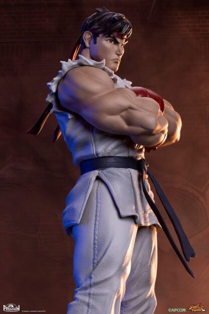 Street Fighter PVC Statuen 1/10 Ryu & Dan 18 cm – Bild 6