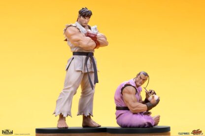 Street Fighter PVC Statuen 1/10 Ryu & Dan 18 cm – Bild 10