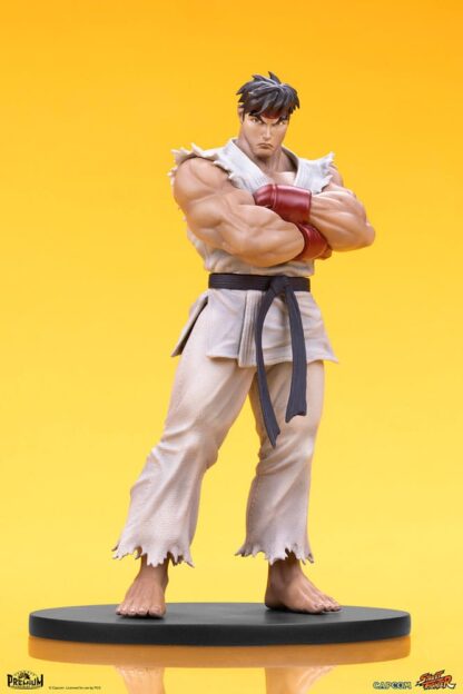 Street Fighter PVC Statuen 1/10 Ryu & Dan 18 cm – Bild 11