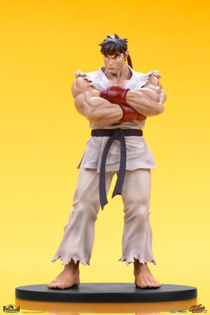 Street Fighter PVC Statuen 1/10 Ryu & Dan 18 cm – Bild 12