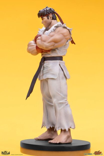 Street Fighter PVC Statuen 1/10 Ryu & Dan 18 cm – Bild 13