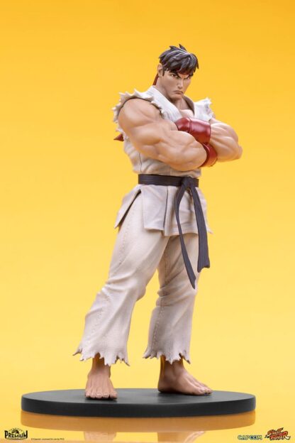 Street Fighter PVC Statuen 1/10 Ryu & Dan 18 cm – Bild 15