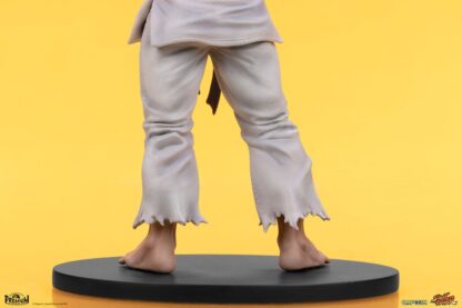 Street Fighter PVC Statuen 1/10 Ryu & Dan 18 cm – Bild 19