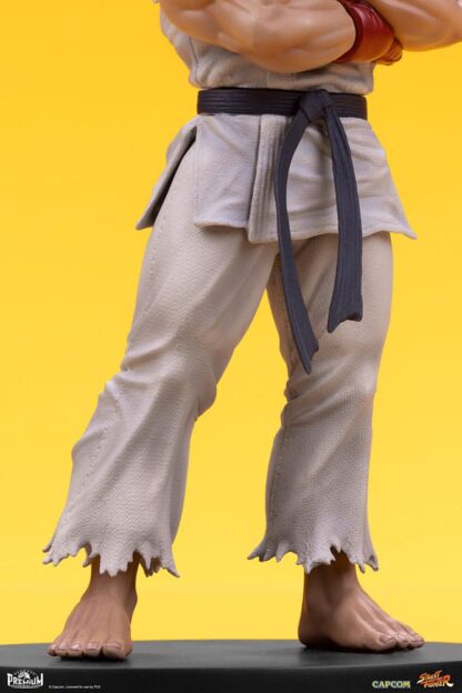 Street Fighter PVC Statuen 1/10 Ryu & Dan 18 cm – Bild 20