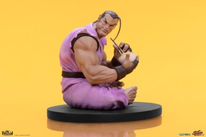 Street Fighter PVC Statuen 1/10 Ryu & Dan 18 cm – Bild 21