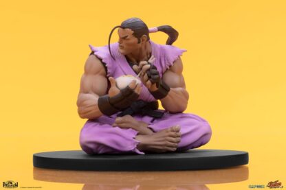 Street Fighter PVC Statuen 1/10 Ryu & Dan 18 cm – Bild 22