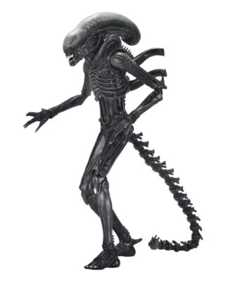 Alien: Romulus Actionfigur Ultimate Xenomorph XX121 18 cm